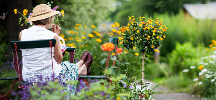 prospekt maerz themeneinstieg entdecke noch mehr pflanzen 1600x740